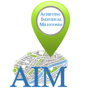 AIM Services Inc